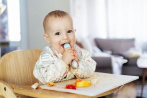 top baby food makers